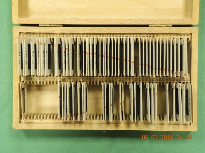 DSCN3586.JPG